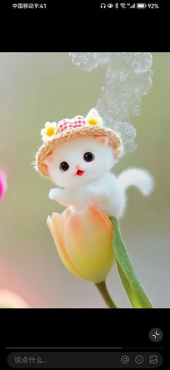 丑小鸭💞愿有一束光主播照片