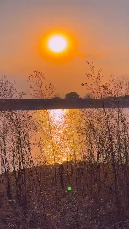 生活是自己的，有什么