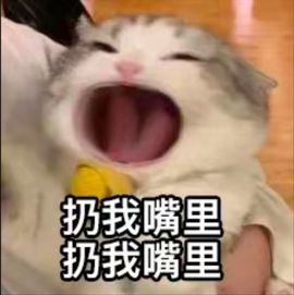 米娜Meena🧸主播照片