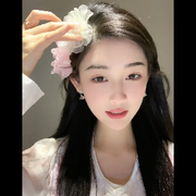 随便丨看看的头像