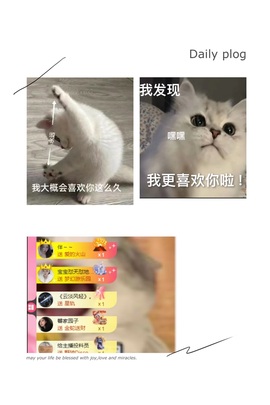 大拉馨💌差8个火山主播照片