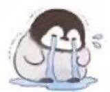 洁儿宝宝💗~主播照片