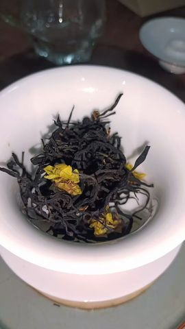 欢乐的栊儿▩主播照片