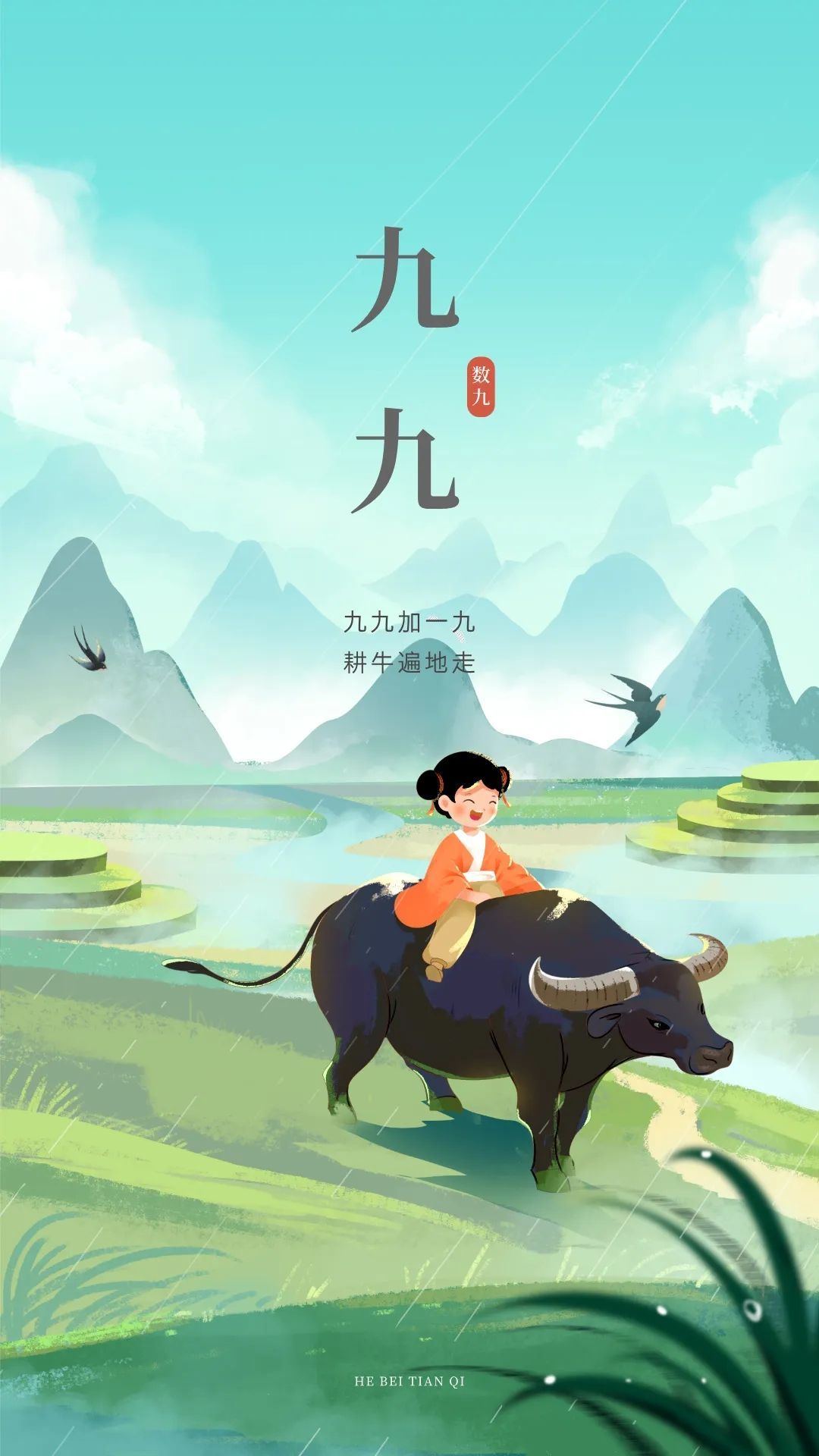 麦穗成熟倒计时的图片