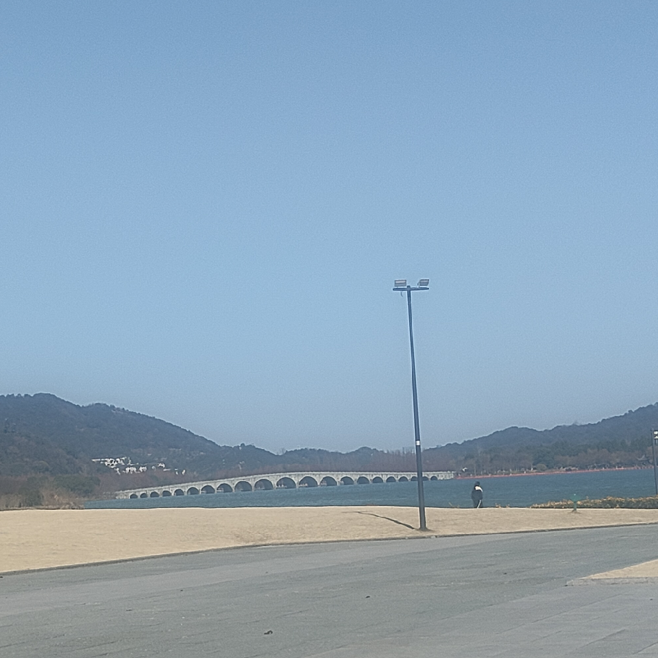 大道☯大法海报