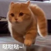 洁儿宝宝💗~主播照片