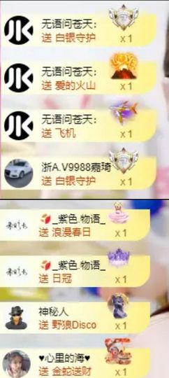 海鸽晚上见主播照片
