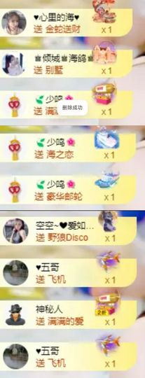 海鸽晚上见主播照片