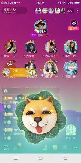 猫猫子💓窈窕淑女～主播照片