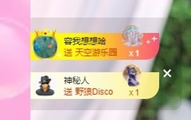 Lily喵的图片
