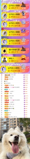 陈慧慧🥕早9晚8主播照片