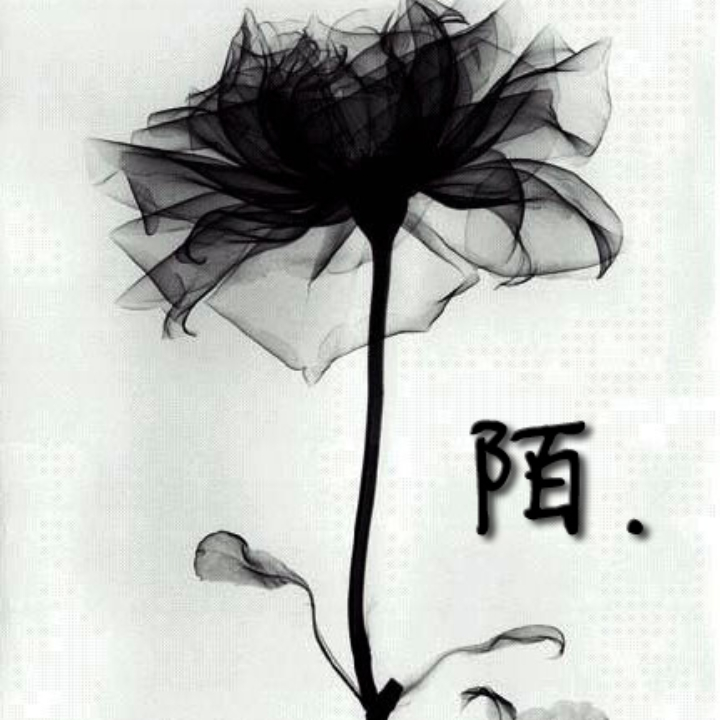 ✴️阡陌天君☯海报
