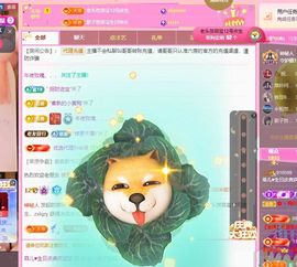 菲儿💗求陪伴主播照片