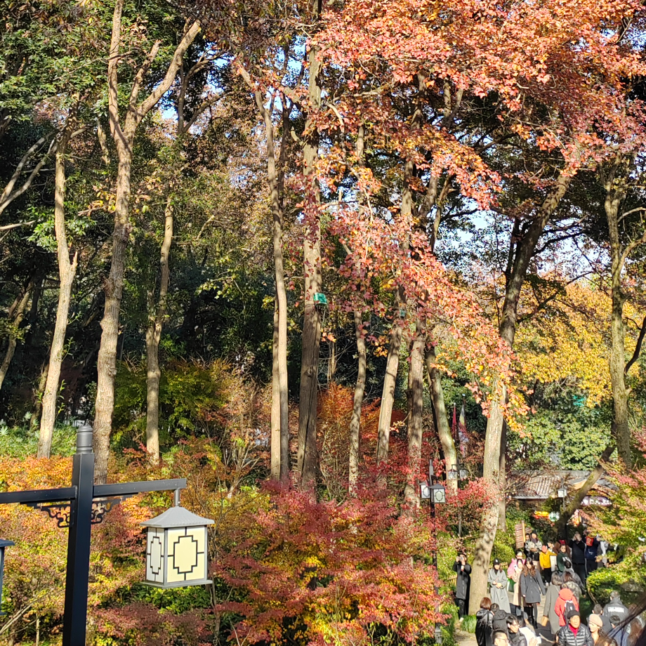 故事里的大山海报