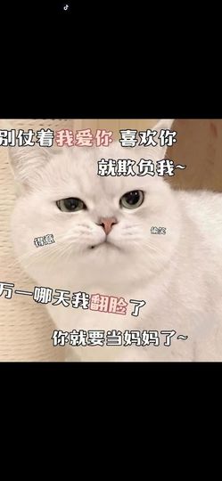 丑小鸭🌈万人迷眼睛主播照片