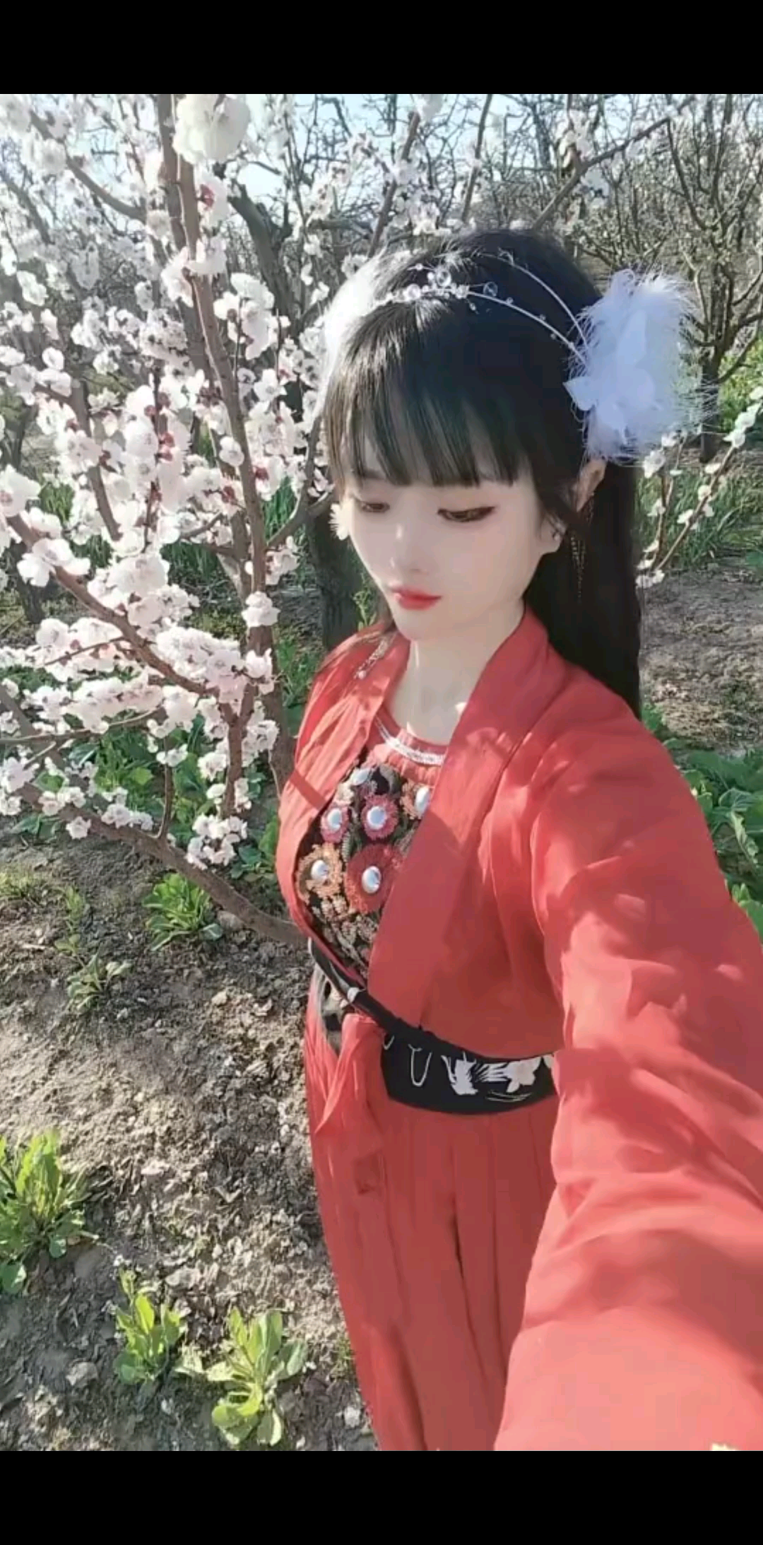 风有约，花不误，年年