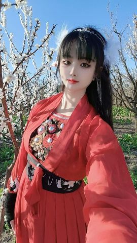 妞妞骑行三亚的图片