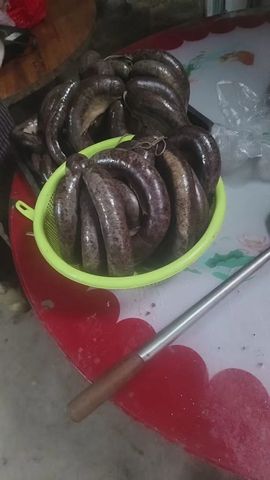 168888大叔主播照片