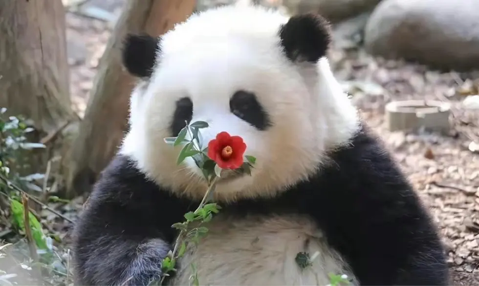 安静雪儿主播图片