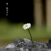 wei喜笑颜开