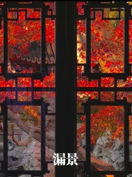 AI兰舟主播照片