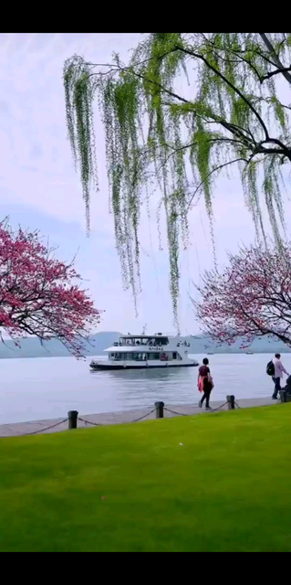 桃花朵朵开