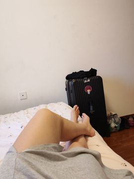 暖太阳花的图片