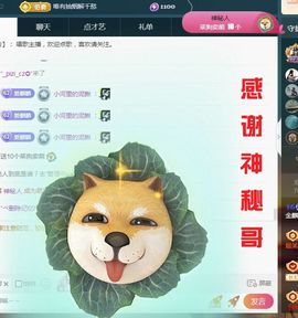 金麒麟安静唱歌🎤主播照片