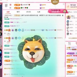 菲儿💗求陪伴主播照片