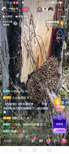 小谢农村田园生活的图片