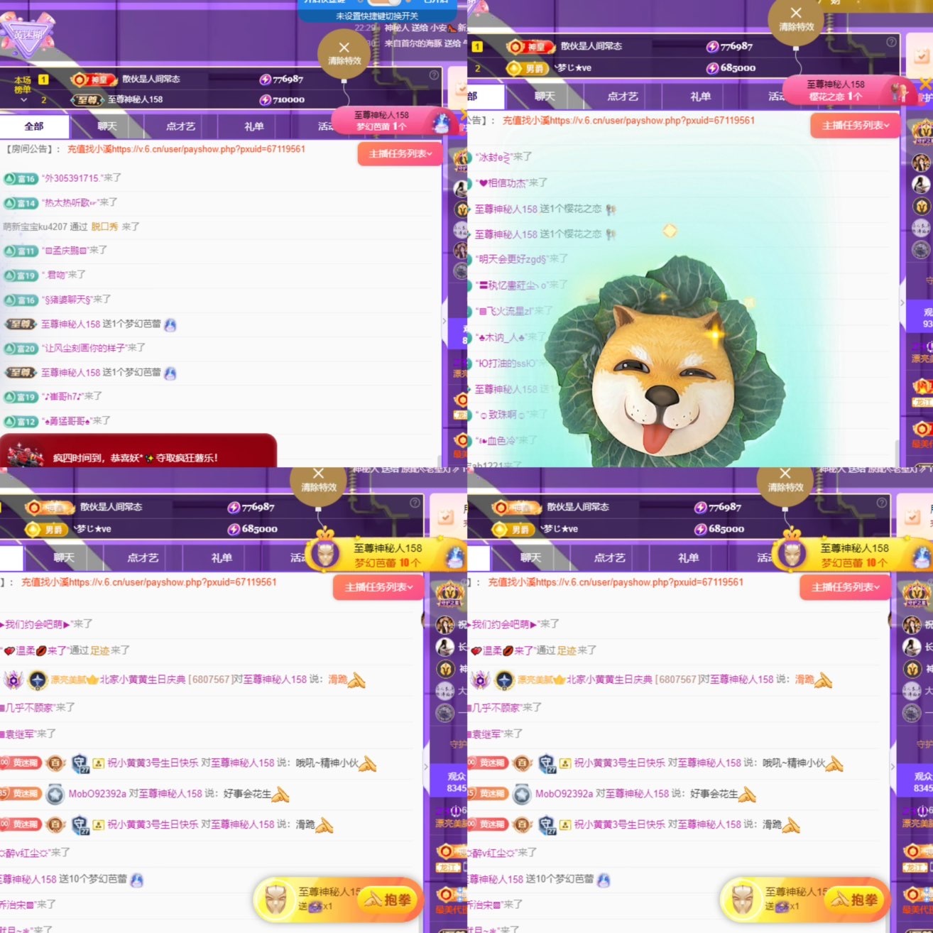 北家黄黄吖主播图片