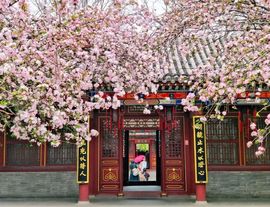 September★的图片