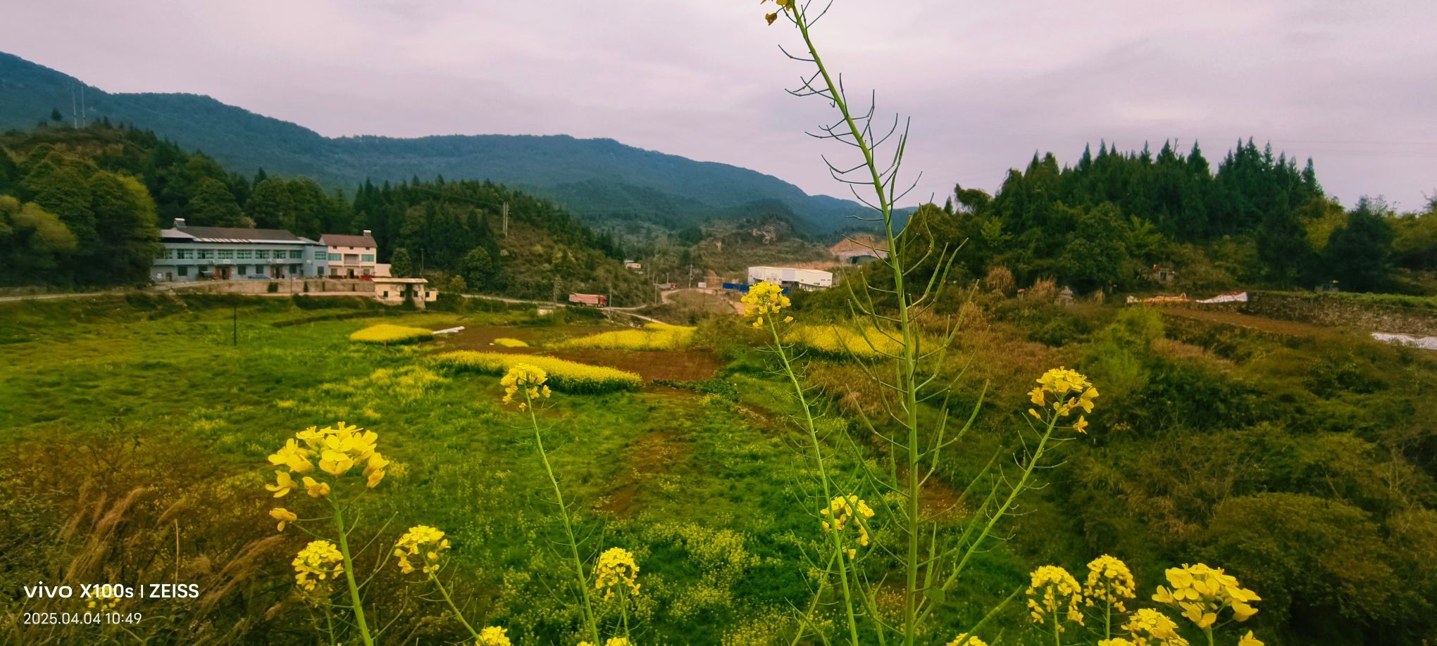 妞妞骑行全国的图片
