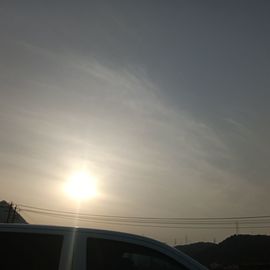 随心而欲，随遇而安。的图片