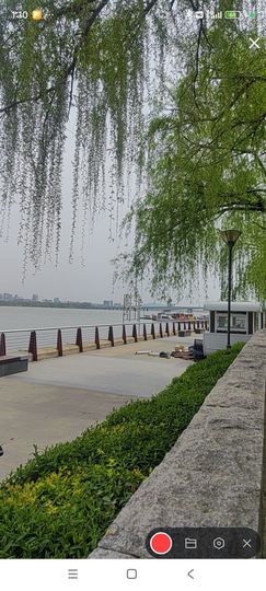 婷婷💕感恩有你陪伴的图片