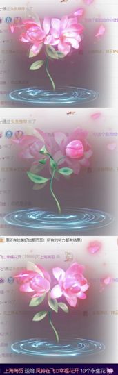 风铃在飞🍀守望幸福主播照片