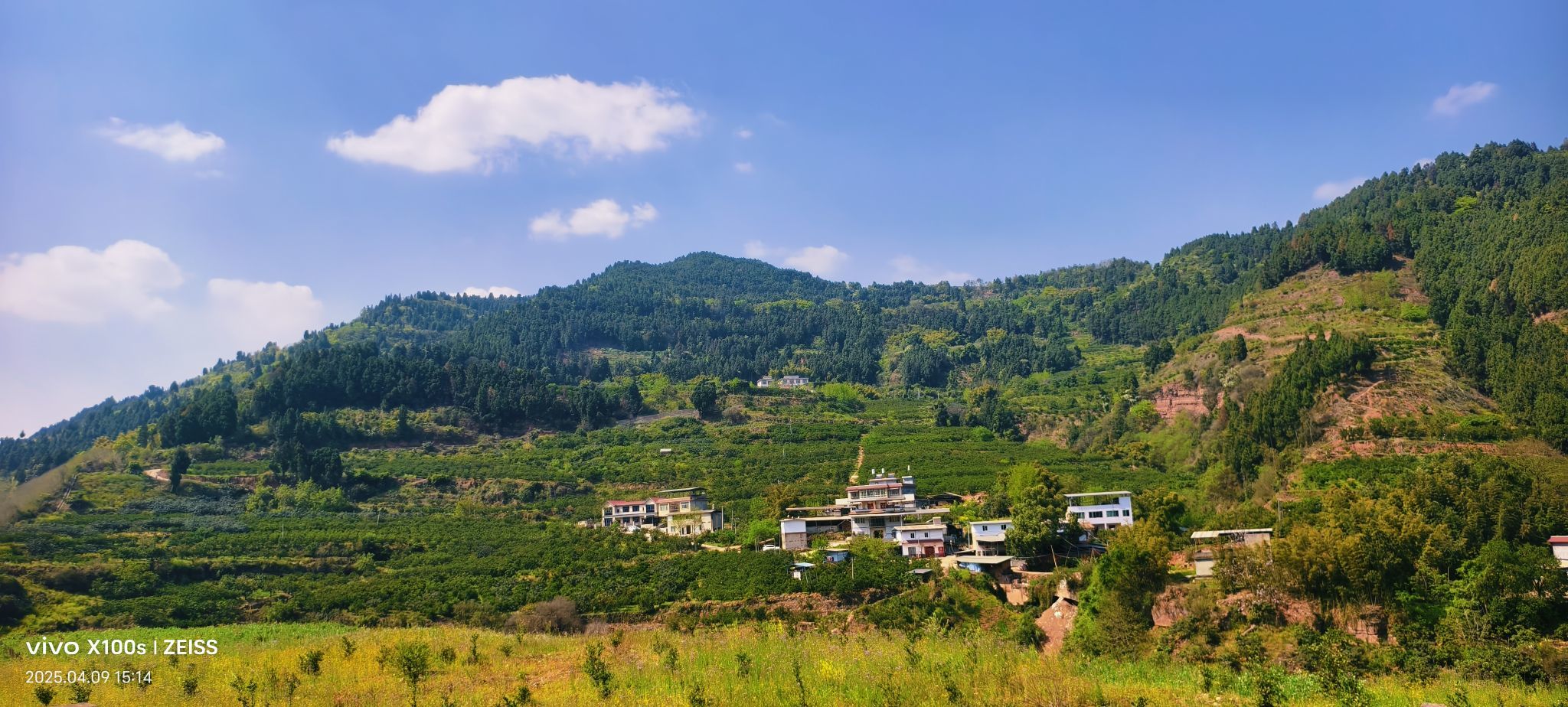 妞妞骑行全国的图片