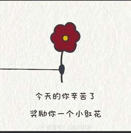 婷儿～所遇皆甜主播照片
