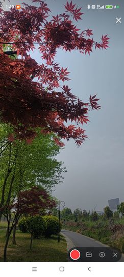 婷婷💕求过月底任务主播照片