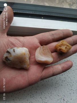 编-终主播照片