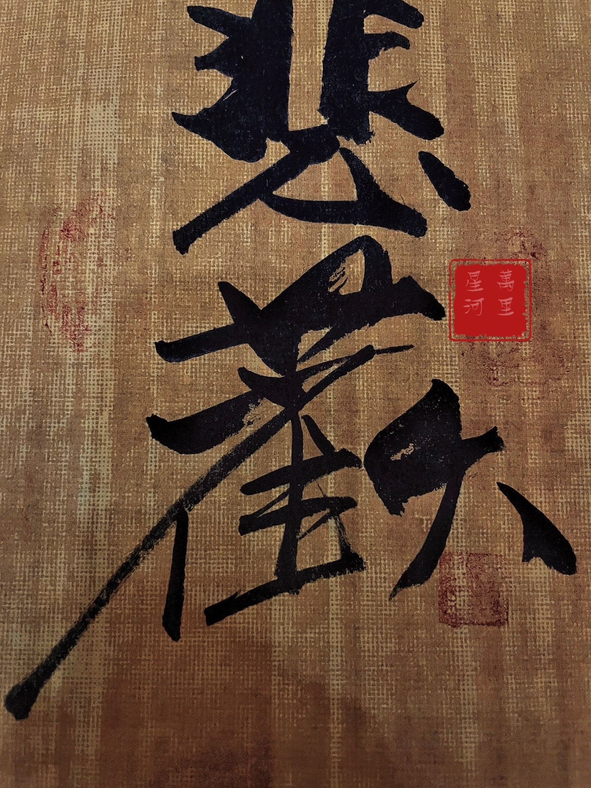 清炒辣椒的图片