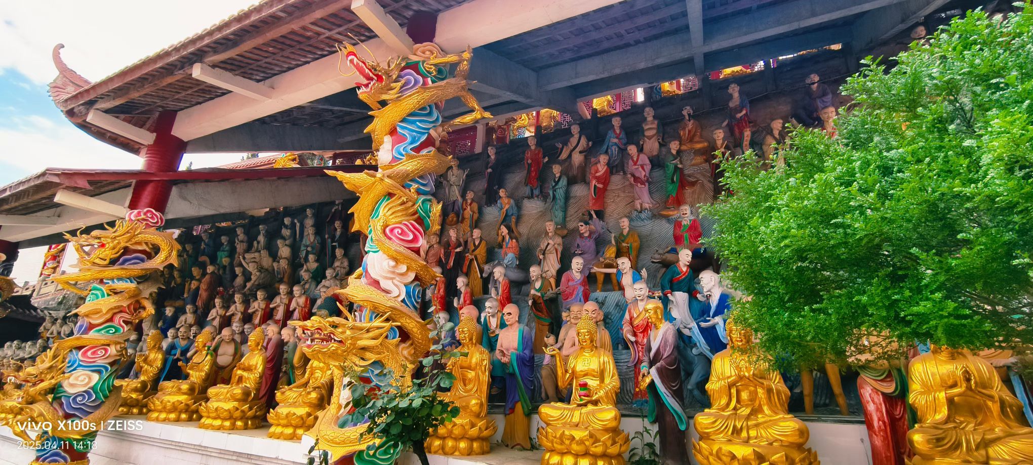妞妞骑行全国的图片