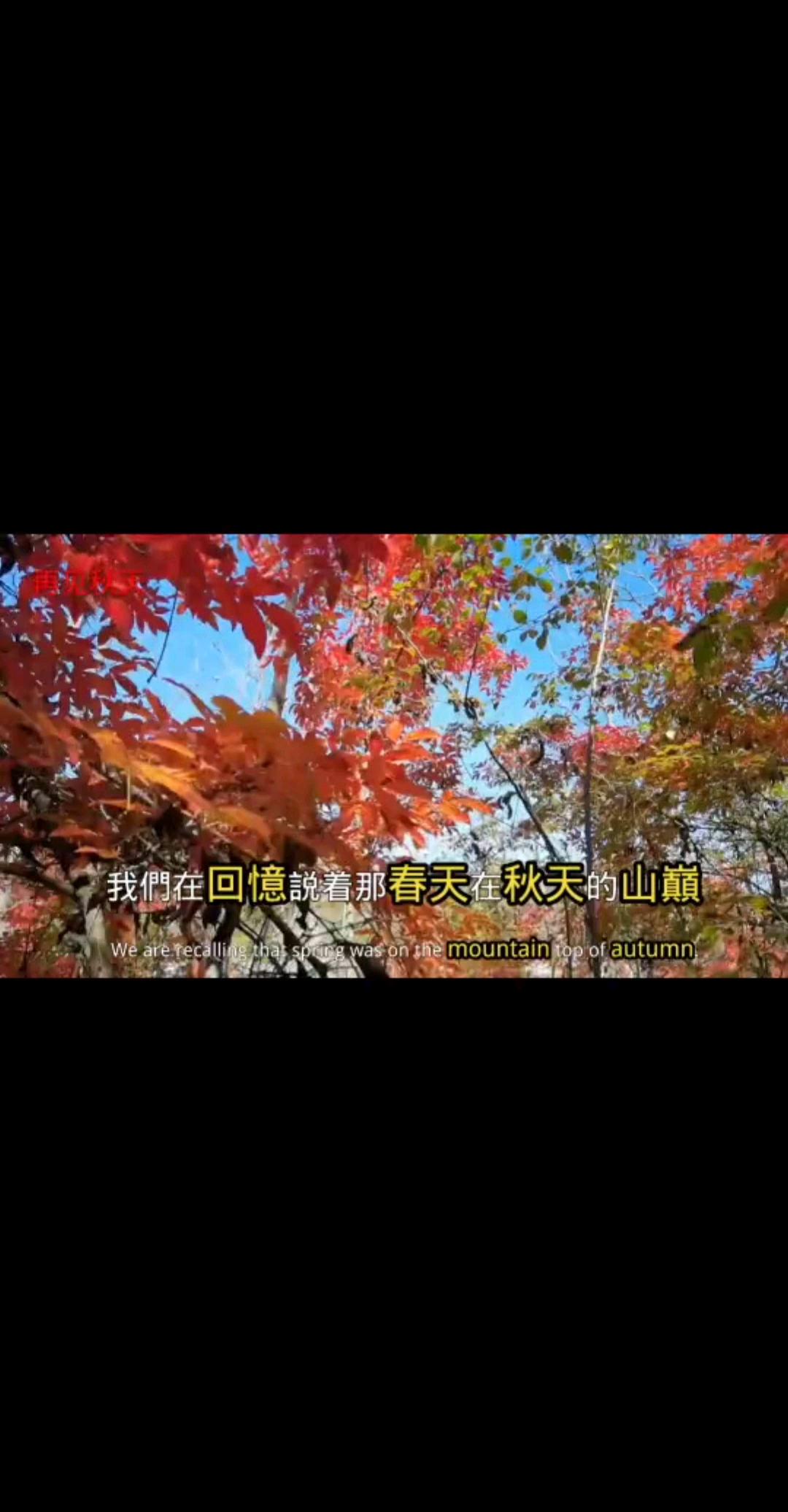 半生以过，一半回忆，一半继续。