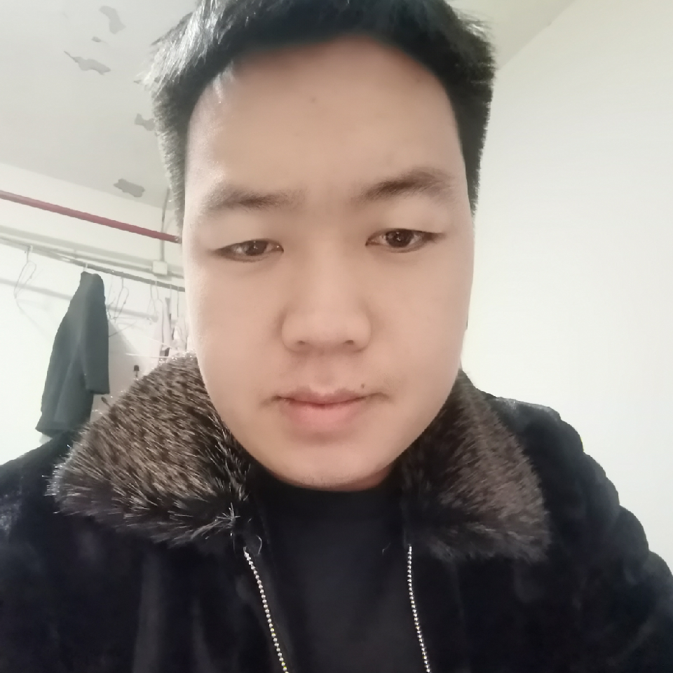 善战689海报