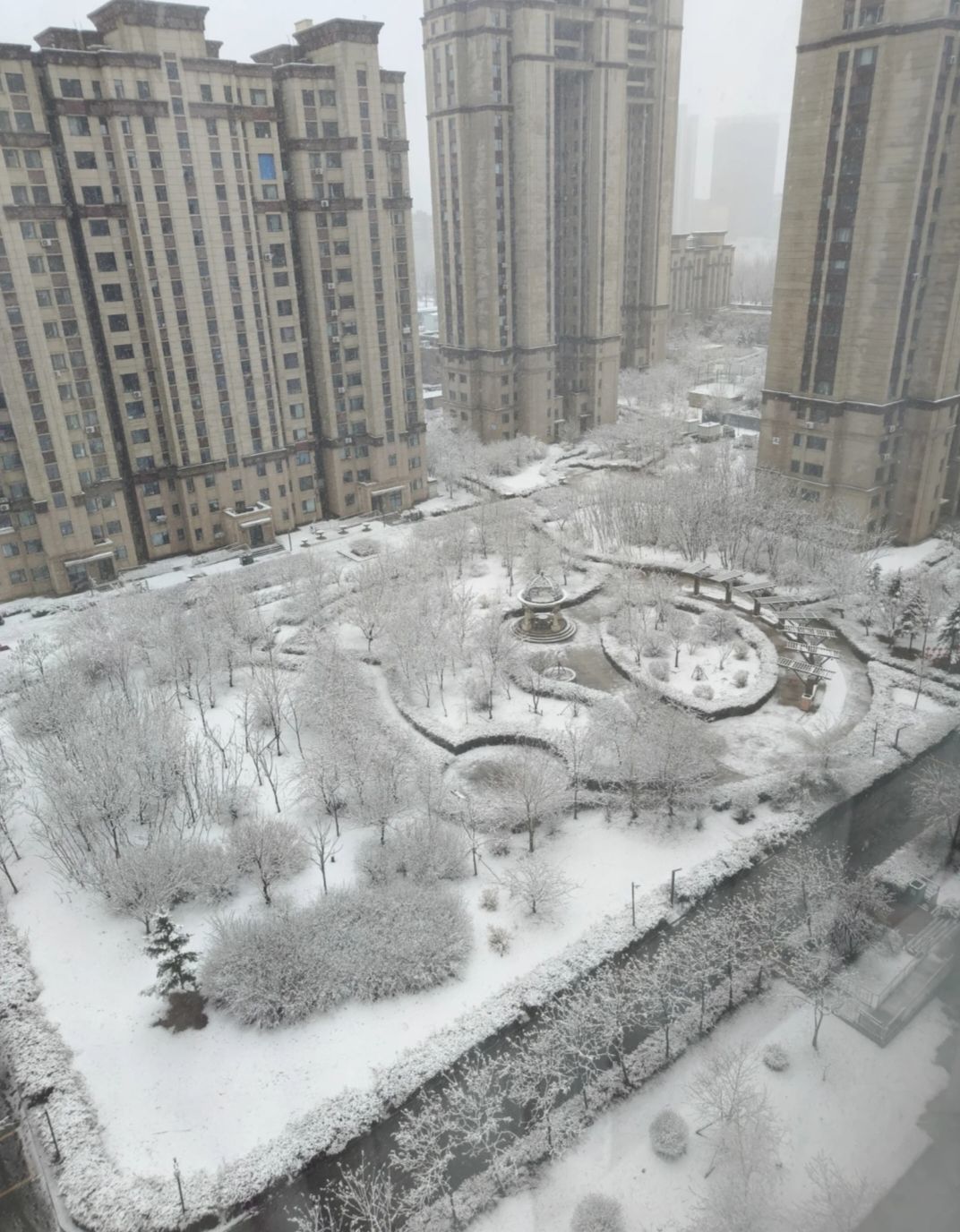 萌**辣主播图片