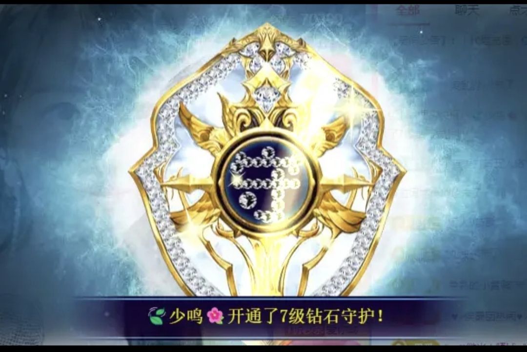 海鸽晚上见的图片