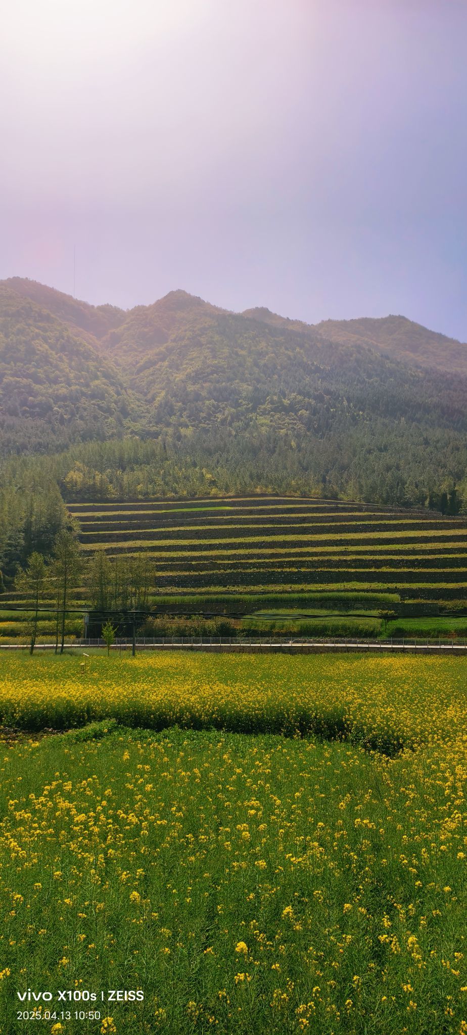 妞妞骑行全国的图片