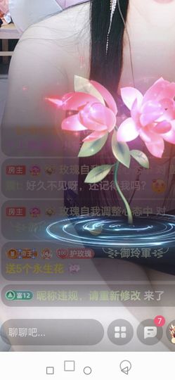 没心没肺玫瑰主播照片