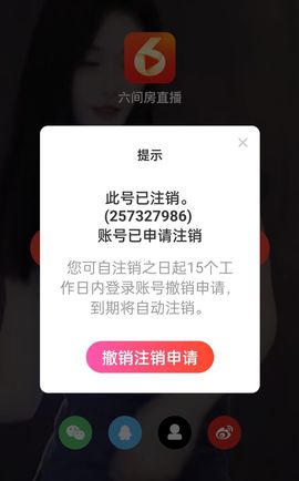 多肉缅因貓主播照片