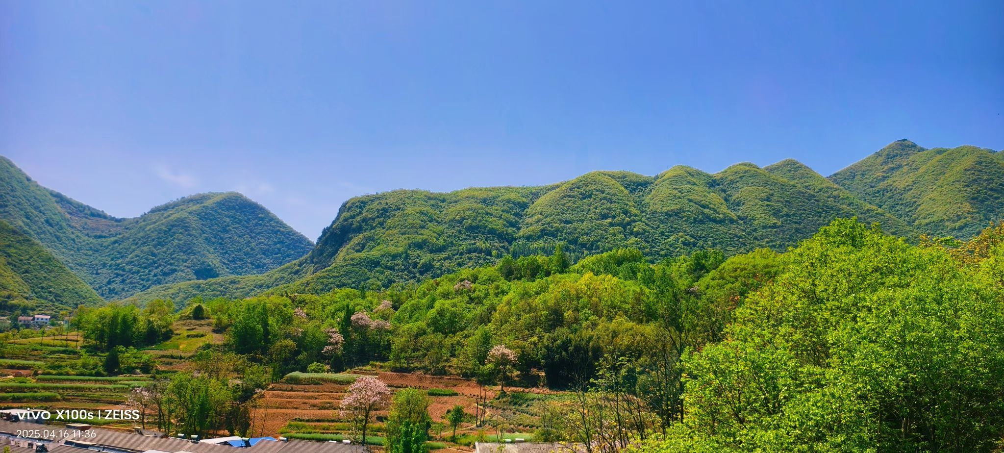 妞妞骑行全国的图片